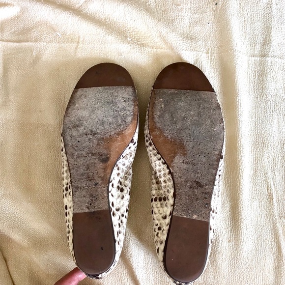 Lanvin python ballerina flats. - Picture 5 of 6